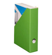 Stehsammler Color 100552131, A4, grün, Karton, 70mm