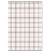 Flipchartblock 100050589, 68x99cm, kariert / blanko, 80g