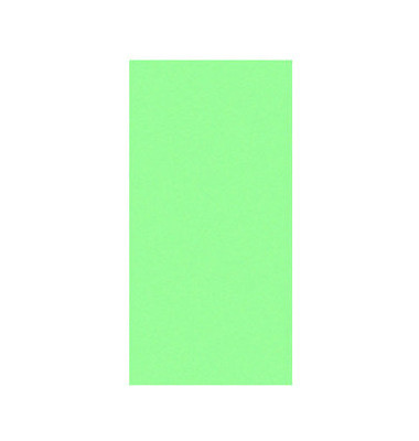 Moderationskarten Rechtecke grün 20x10cm 250 Stück Moderationskarten Rechtecke grün 20x10cm 250 Stück
