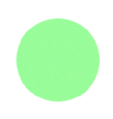 Moderationskarten Kreise Ø 10cm grün 250 Stück