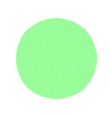 Moderationskarten Kreise Ø 10cm grün 250 Stück Moderationskarten Kreise Ø 10cm grün 250 Stück