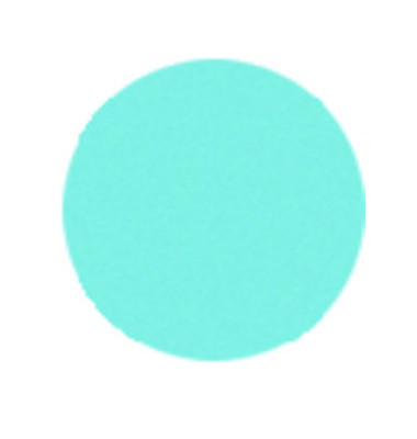 Moderationskarten Kreise Ø 10cm hellblau 250 Stück Moderationskarten Kreise Ø 10cm hellblau 250 Stück