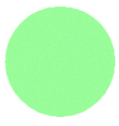 Durchmesser 9,5 cm grün 500 Stück Legamaster 7-253104 Moderationskarten Kreis