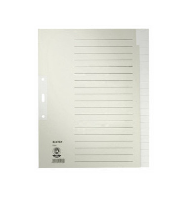 Kartonregister 1220-00-85, 20-teilig blanko, A4+, 100 g/m², graue Taben, 20-teilig