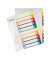 Kunststoffregister 1293 1293-00-00, 1 bis 10, A4+, farbige Taben, 10-teilig