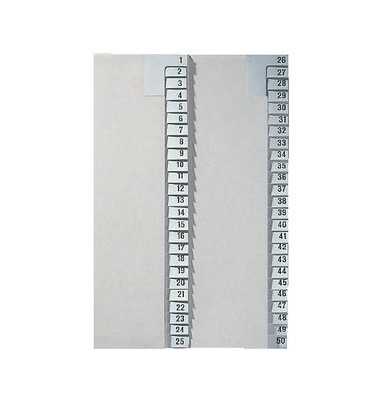 Kartonregister 1381-00-85, 1 bis 25, A4 halbe Höhe, 100 g/m², graue Taben, 25-teilig