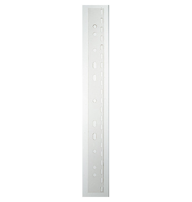 Abheftstreifen 15783, 25x297mm (BxL), Kunststoff, transparent