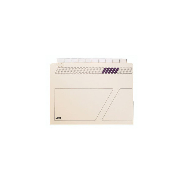 50 Stück Leitz Einstellmappen für Hängeboxen 2444 A4 230g Recyclingkarton chamois 4002432305230 Leitz