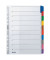 Kartonregister 4321-00-00, 10-teilig blanko, A4, 160 g/m², farbige Taben, 10-teilig