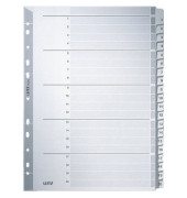 Kartonregister 4326-00-00, 1 bis 20, A4, 160 g/m&sup2;, graue Taben, 20-teilig