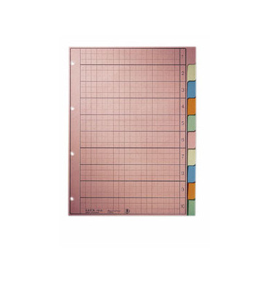 Kartonregister 4340-00-00, 10-teilig blanko, A4, 130 g/m&sup2;, farbige Taben, 10-teilig