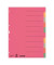 Kartonregister 4359-00-00, 10-teilig blanko, A4, 230 g/m², farbige Taben, 10-teilig