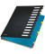 Ordnungsmappe Deskorganizer Color 5912-00-95, 12-teilig blanko, schwarz, A4, 12 F&auml;cher