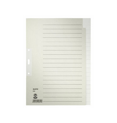 Kartonregister 6096-00-85, 20-teilig blanko, A4, 100 g/m&sup2;, graue Taben, 20-teilig