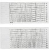 Organisationsstreifen Skala1+2 weiß 317mm lang