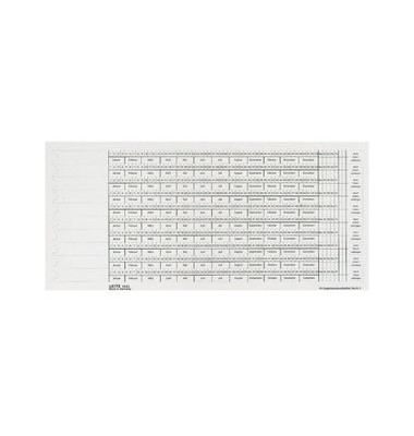 Organisationsstreifen Skala3+4 weiß 317mm lang