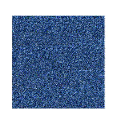 Schmutzfangmatte Olefin 60x91cm blau