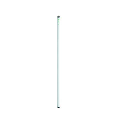 Leuchtstofflampe A Lumilux T8 kaltweiß G13 36W Leuchtstofflampe A Lumilux T8 kaltweiß G13 36W