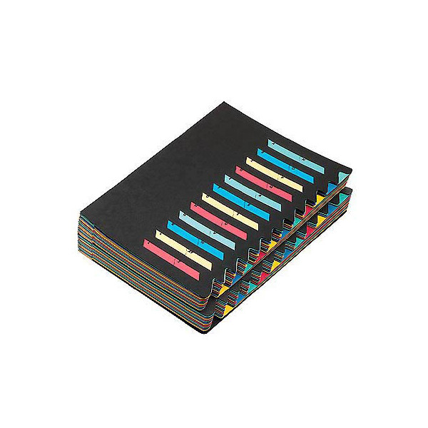4013951005273 - Pagna - Ordnungsmappe Deskorganizer Classic din A4 Pressspan Farbe schwarz Farbe des Fächerblocks mehrfarbig 24 Fächer