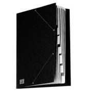 Ordnungsmappe 4616-9, 9-teilig blanko, schwarz, A4, 9 F&auml;cher