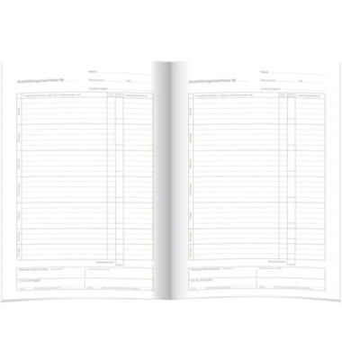Ausbildungsnachweis 5080 Tätigkeitsbericht täglich Ausbildungsnachweis, A4, 1x 28 Blatt