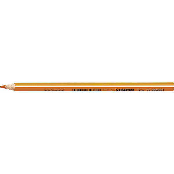 12 Stück Stabilo Buntstifte STABILO Trio dick, 203/221, orange, dreikant, ergonomisch 4006381343848 Stabilo