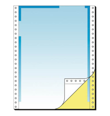 Endlospapier 26246, A4 hoch blanko, 2-fach, 12 Zoll x 240 mm, 500 Sätze