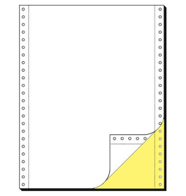 Endlospapier 32246, A4 hoch blanko, 2-fach, 12 Zoll x 240 mm, 1000 Sätze