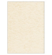 Motivpapier DP605 A4 90g champagne Pergament