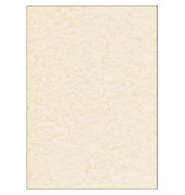 Motivpapier DP605 A4 90g champagne Pergament