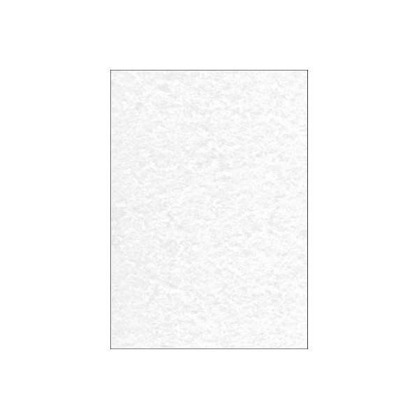 4004360959127 - Briefpapier DP657 grau Pergamentstruktur A4 200g 4004360959127 50 Blatt
