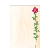 Motivpapier DP695 A4 90g Rose