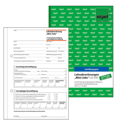 Lohn- und Gehaltsabrechnung LO519 A5-hoch