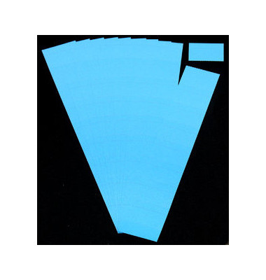 Einsteckkarten für Planrecord blau 40x32mm