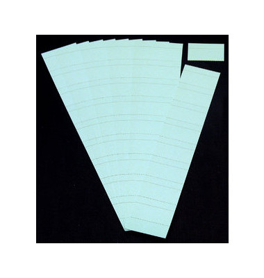 Einsteckkarten für Planrecord hellblau 60x32mm 90 Stück