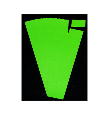 Einsteckkarten für Planrecord hellgrün 60x32mm