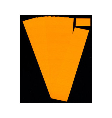 Einsteckkarten für Planrecord orange 60x32mm
