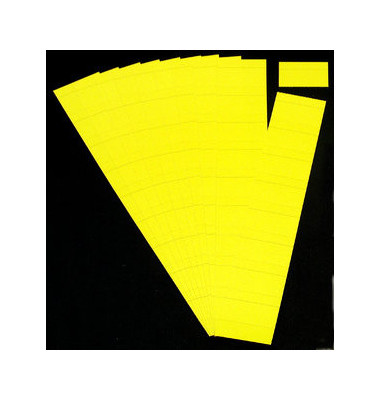 Einsteckkarten für Planrecord citron 60x32mm 90 Stück