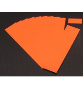 Einsteckkarten für Planrecord orange 70x32mm