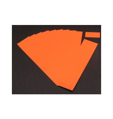 Einsteckkarten für Planrecord orange 70x32mm 90 Stück