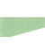 Trennstreifen 50501T Trennstreifen Trapez gr&uuml;n 190g gelocht 24x10,5cm