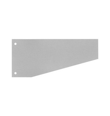 Trennstreifen 50509T grau 190g gelocht 24x10,5cm 