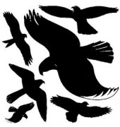 Fensterwarnvögel schwarz selbstklebend 28 x 28,5cm 6 Vögel