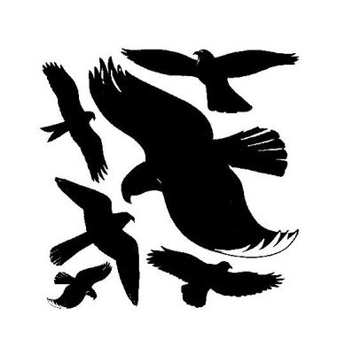 Fensterwarnvögel schwarz selbstklebend 28 x 28,5cm 6 Vögel