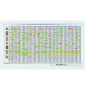 Jahresplaner Professional 7-Tage-Woche 75 Personen 100 x 200cm