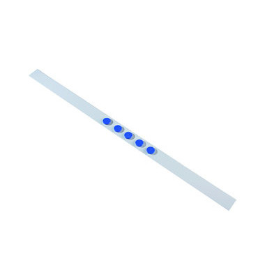 Magnetleiste weiß mit 5 blauen Magneten 50mm x 1m