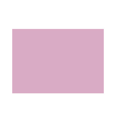 Karteikarten 13339B A6 blanko 205g rosa 100 Stück Karteikarten 13339B A6 blanko 205g rosa 100 Stück