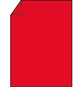 Motivpapier Paperado 164001126, tomate, A4, 100g