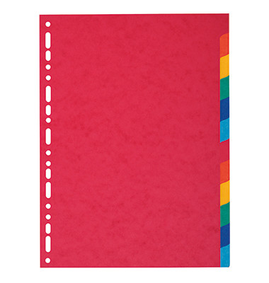 Kartonregister 1412E, 12-teilig blanko, A4, 225 g/m&sup2;, farbige Taben, 12-teilig