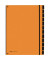 Pultordner Trend 24129 A4 blanko orange 12-teilig